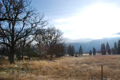 DSC_0027 (Large).JPG